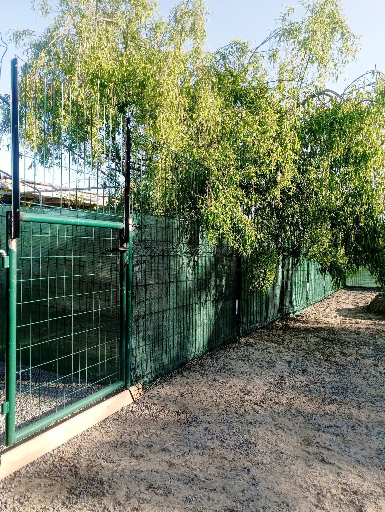 Pension pour chien proche Pays de Retz